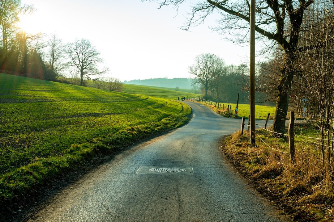 A quiet country path curving through sunlit green fields